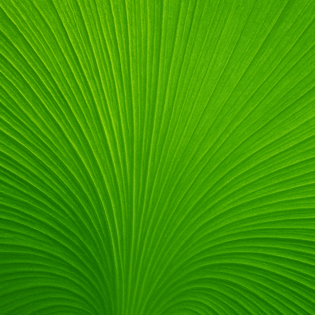 Ginkgo Extract